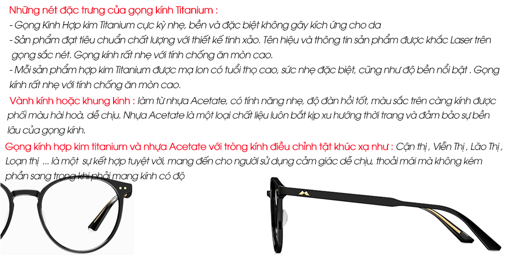 GỌNG KÍNH MOLSION MJ6101 B20 - Hình 4