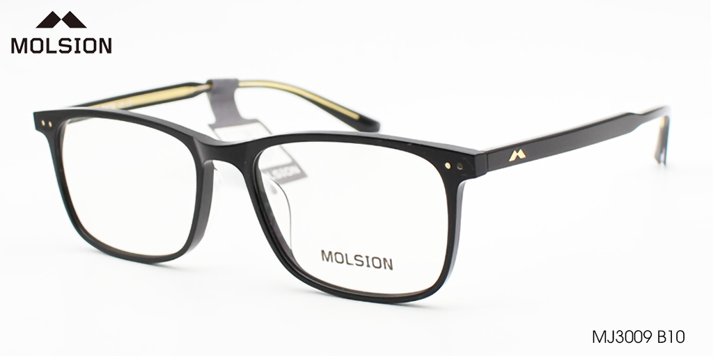 GỌNG KÍNH MOLSION MJ3009 B10