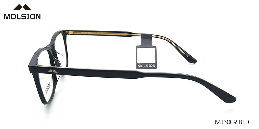 GỌNG KÍNH MOLSION MJ3009 B10 - Hình 4