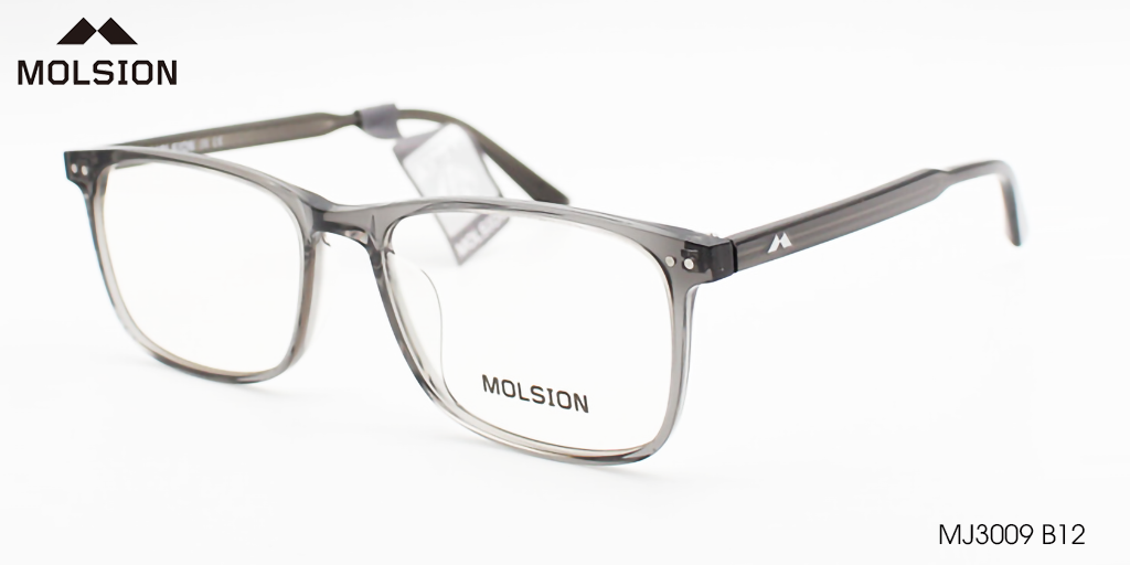 GỌNG KÍNH MOLSION MJ3009 B12