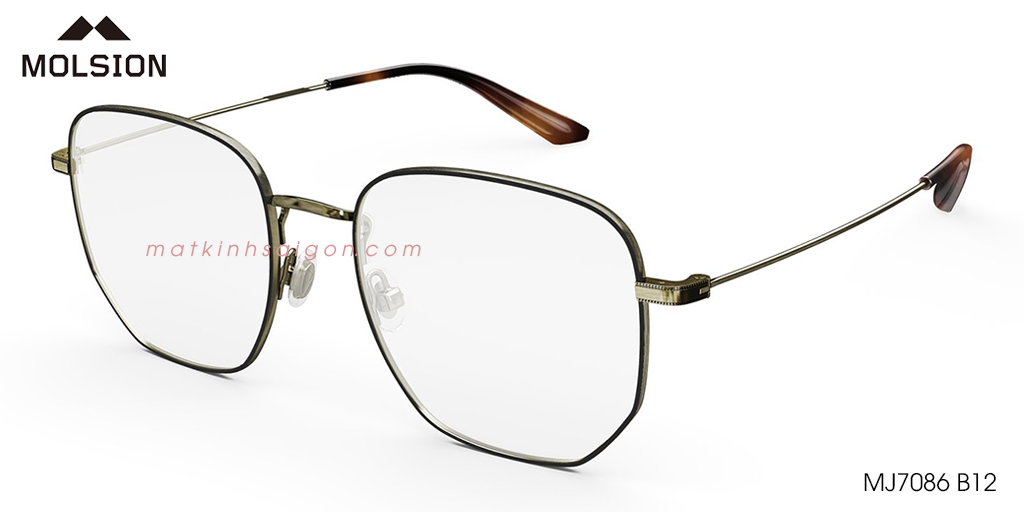 GỌNG KÍNH MOLSION MJ7086 B12