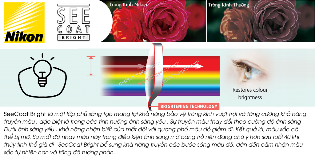 TRÒNG KÍNH PHẲNG 1 MẶT NIKON 1.60 LITE 3AS ECC - Hình 11