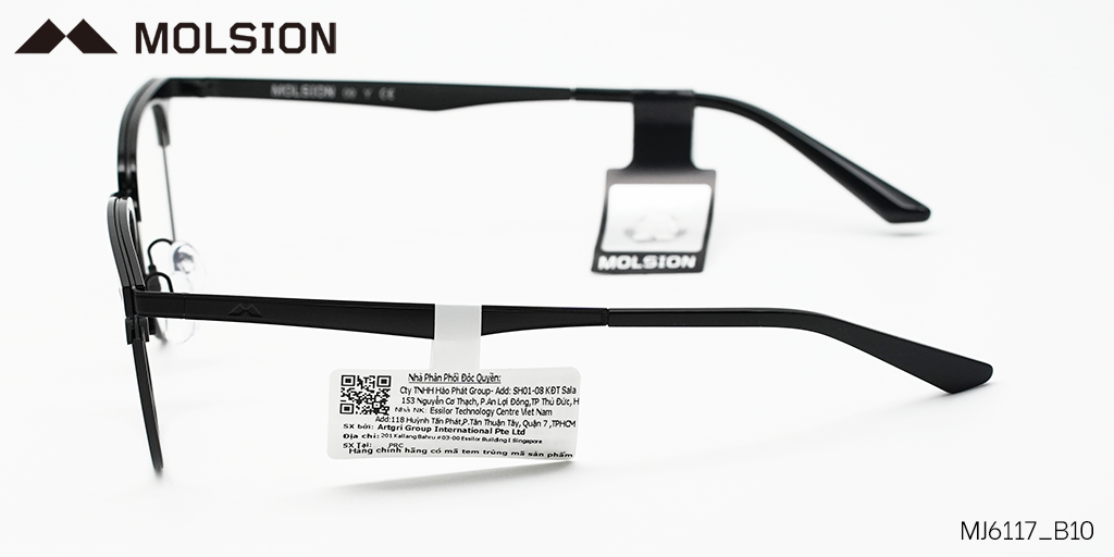 GỌNG KÍNH MOLSION MJ6117 B10 - Hình 6