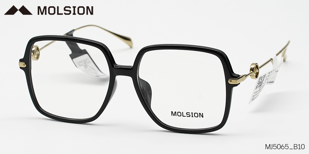 GỌNG KÍNH MOLSION MJ5065 B10