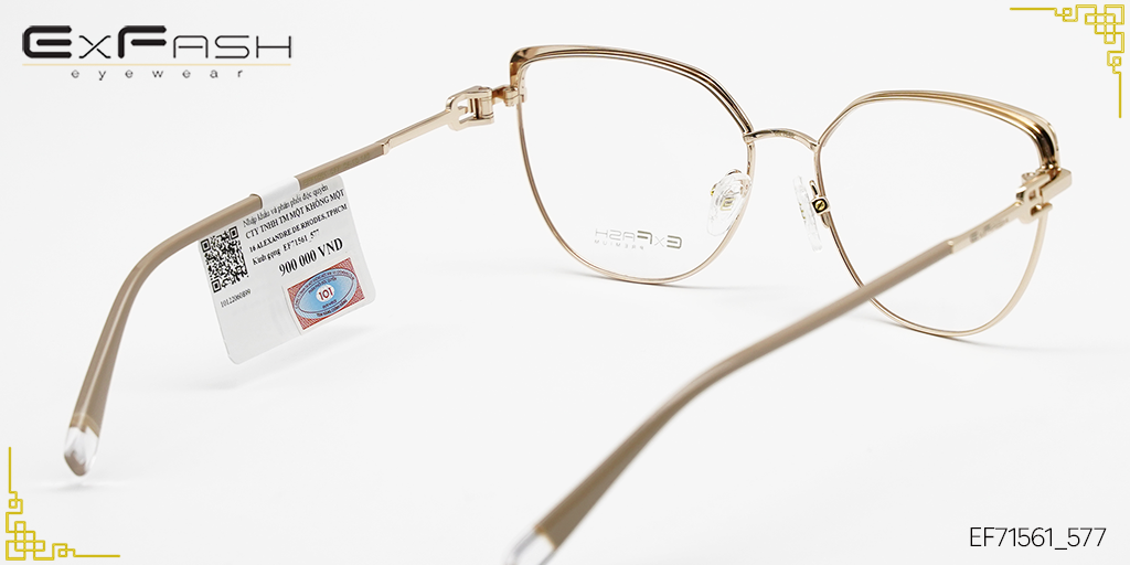 Gọng Kính Hợp Kim Exfash EF71561_577 - Hình 4