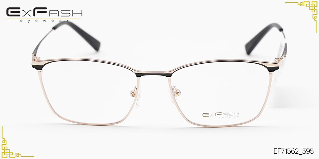 Gọng Kính Hợp Kim Exfash EF71562_595 - Hình 3