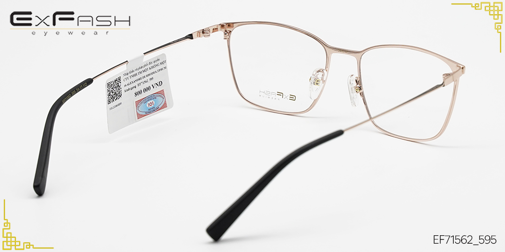 Gọng Kính Hợp Kim Exfash EF71562_595 - Hình 4