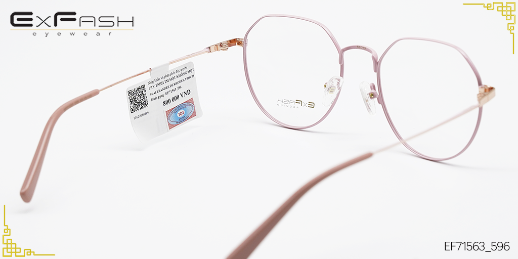 Gọng Kính Hợp Kim Exfash EF71563_596 - Hình 4