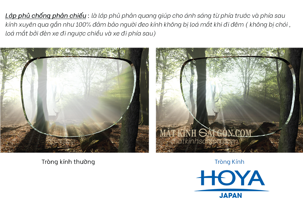 Tròng Kính 1.55 HOYA Stellfy BlueControl - Hình 7