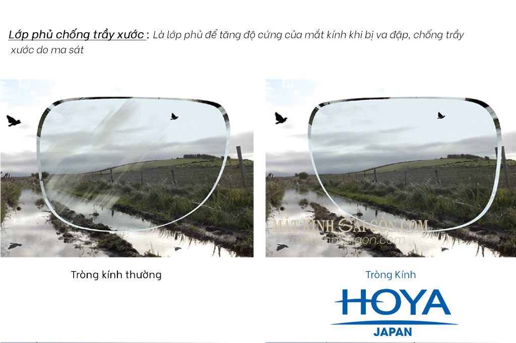 Tròng Kính Chống Bể 1.53 HOYA Hilux Phoenix - Hình 8
