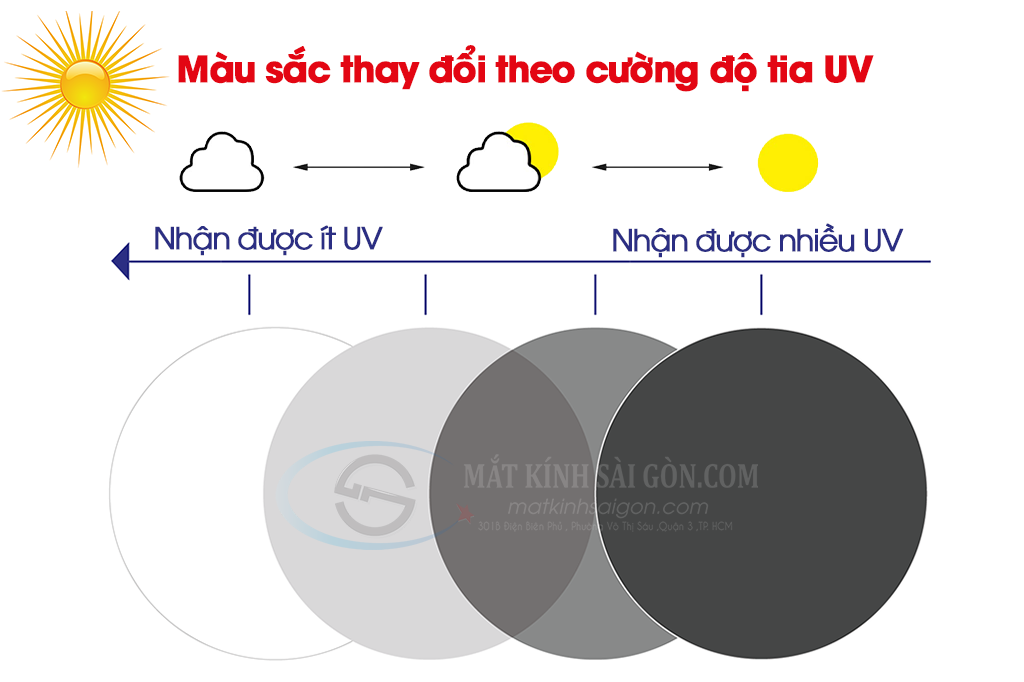 Tròng Kính Đổi Màu 1.50 Hoya Sensity - Hình 3