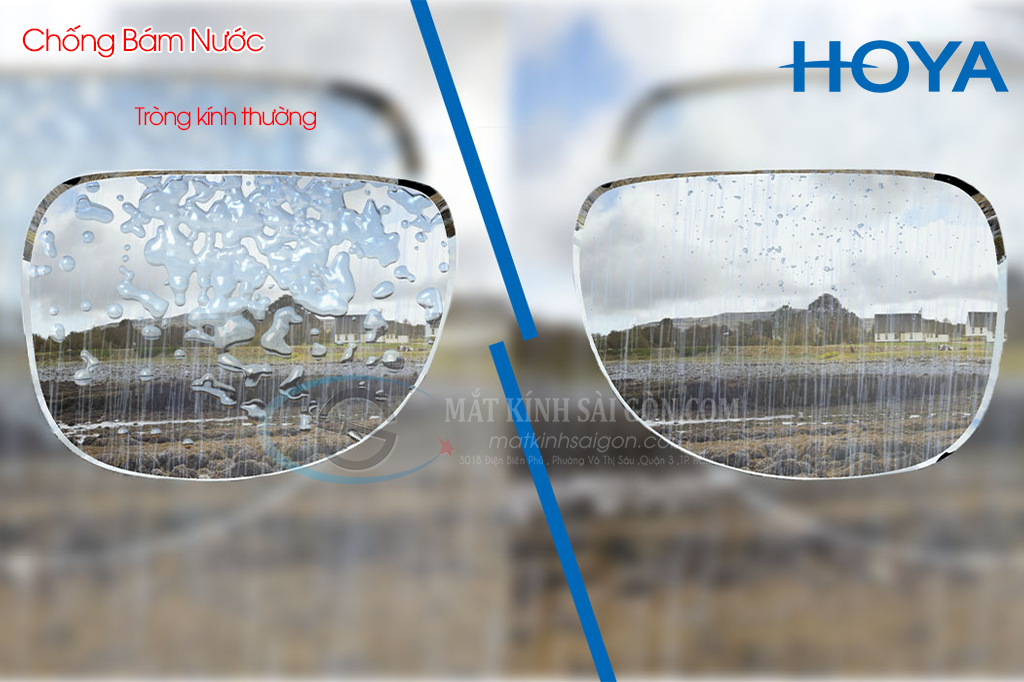 Tròng Kính Đổi Màu 1.50 Hoya Sensity - Hình 7