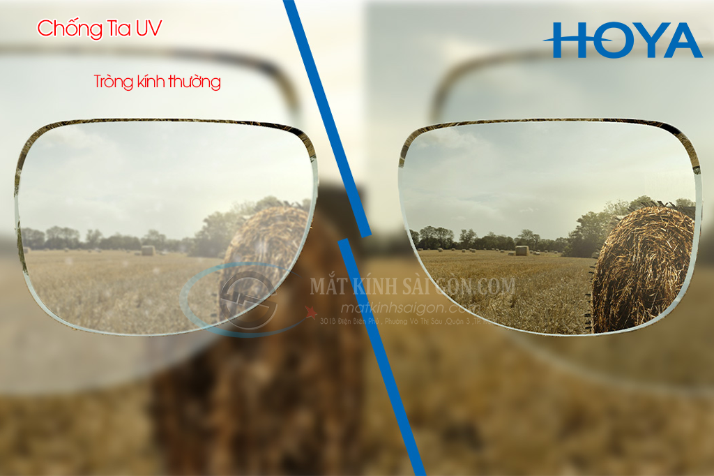 Tròng Kính Đổi Màu 1.55 Hoya Sensity - Hình 5