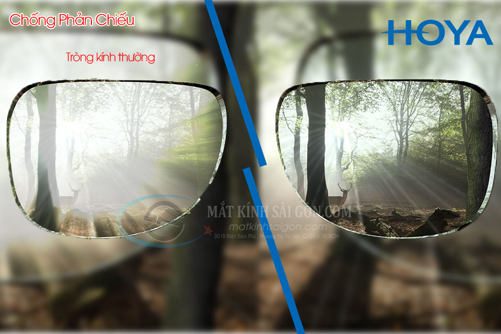 Tròng Kính Đổi Màu 1.55 Hoya Sensity - Hình 7