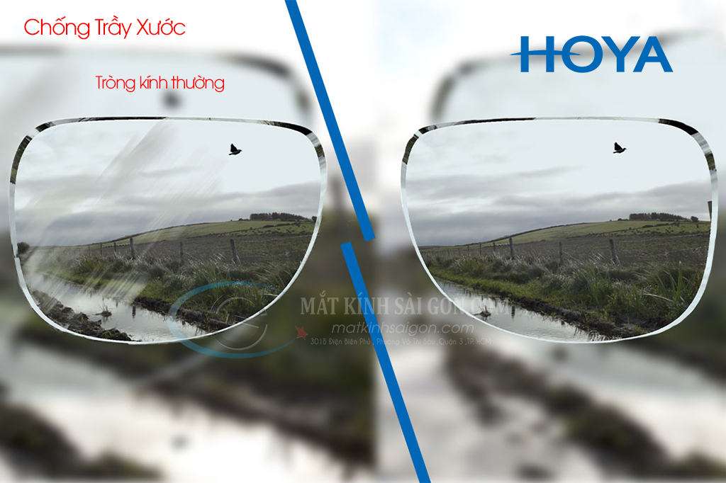 Tròng Kính Đổi Màu 1.55 Hoya Sensity - Hình 8