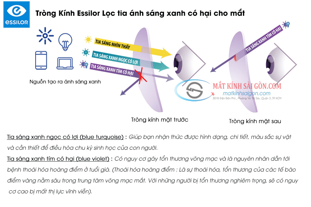 Tròng kính Đổi Màu 1.50 Essilor Trasitions Gen 8™ Style Colors - Hình 4