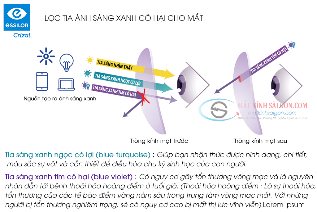 Tròng Kính Đa Tròng 1.50 Essilor Varilux Comfort Max - Hình 7