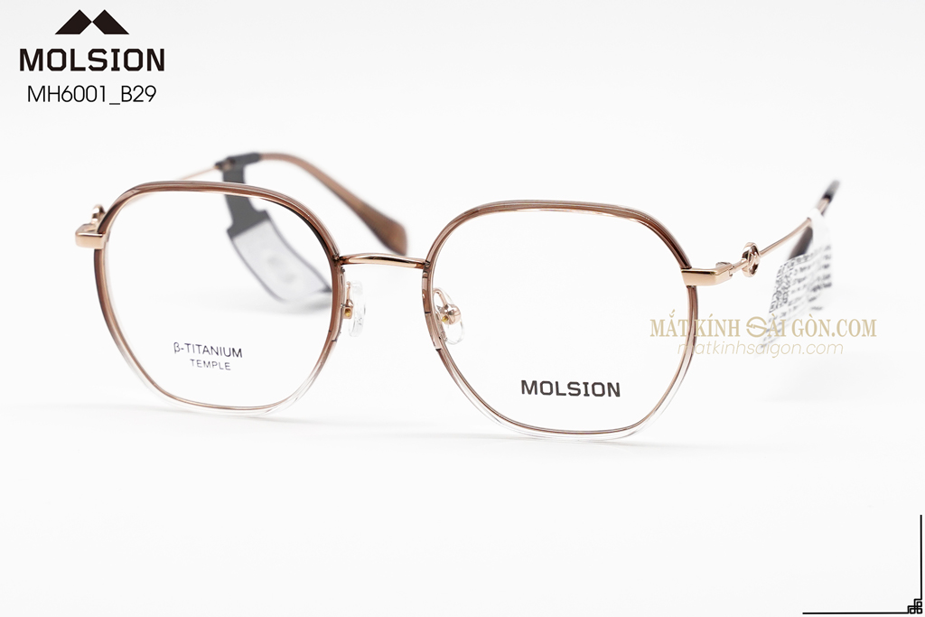 GỌNG KÍNH MOLSION MJ6152 B29