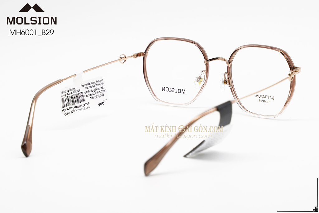 GỌNG KÍNH MOLSION MJ6152 B29 - Hình 4