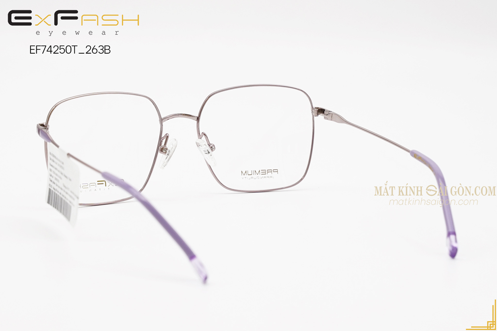 GỌNG KÍNH EXFASH EF74250T 263B - Hình 3