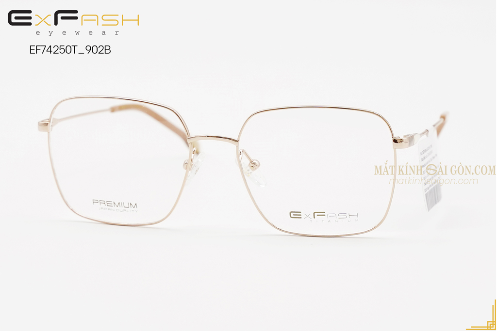 GỌNG KÍNH EXFASH EF74250T 902B - Hình 5