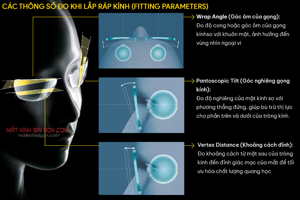 TRÒNG KÍNH CÁ NHÂN HÓA THỊ GIÁC NIKON SEEMAX INFINITE - Hình 5